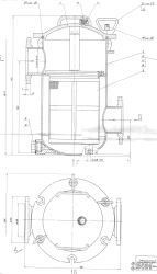 Flanged Sea Water Filter for Rough Filtration DN 100, PN 0.4 MPa ITSHL.061144.004-01