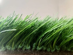 Artificial grass Optigrass XWR Classic 70 MF