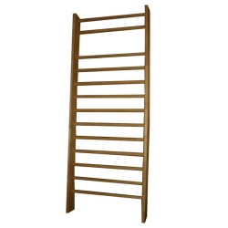 Swedish Wall for General Physical Training: I CAN!