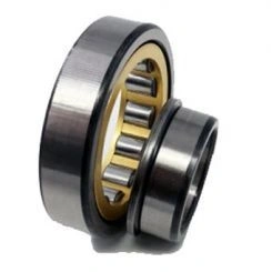 Cylindrical Roller Bearing with Brass Separator 70-42315L1K3M