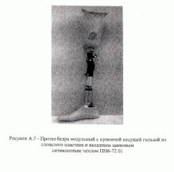 Modular Hip Prosthesis PN6-72M