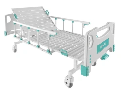 Functional Medical Bed KM-02 with Accessories