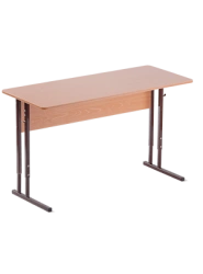 Standard Two-Seater Student Desk with Adjustable Parameters, Type 2