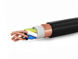 Power Cable for Voltage 0.66; 1kV BBГЭнг(А)
