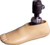 Children's Low Heel Shoe 9A 011D Size 21