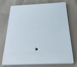 Left Side Bus Hatch Cover 422320-5413015