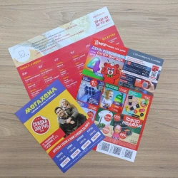 Informational and Political Leaflet - Custom Size Options