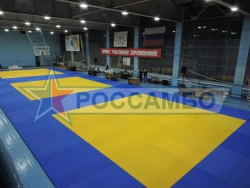 Flat Rectangular or Square Tatami Mat