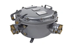 Explosion-Proof Cable Junction Box YKV-3.1