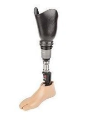 Modular Shin Prosthesis for Individuals with Disabilities, PN3-OB