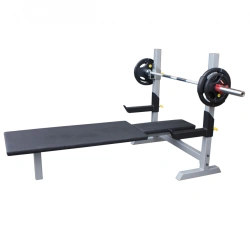 Adjustable Bench with Supports for Disabled Individuals