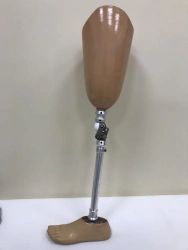 Modular Hip Prosthesis for Comprehensive Patient Care