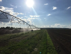 Wide-Format Electric Irrigation Machine AquaField