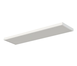 Emergency LED Ceiling Lights for Public Spaces DPO12-56