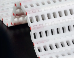 Modular Belt ML2541 PE for Transporting Products