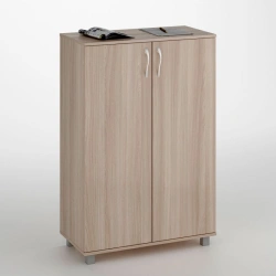 Low Document Cabinet with 2 Doors