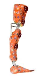 Full Leg Orthosis AH8-115DP (AH8-115)