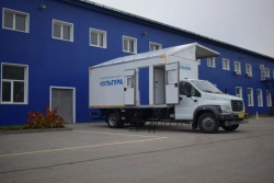 Gazon Next Diesel Truck 10 Ton with Modifications 5796W2/W3/W5/W9