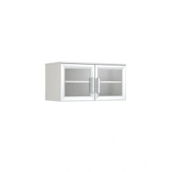 Two-Door Cabinet with Insert Shelf, Model SHA-2ST