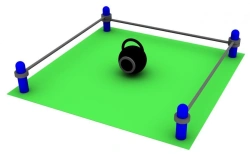 16 kg Kettlebell Test Complex with Safety Zone SK-002