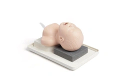Neonatal Intubation Training Model PS6247/6249/2A