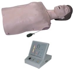 CPR Training Torso Manikin for Cardiac Resuscitation, Art. CPR2000 / CPR200S