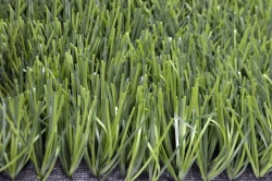 Artificial Grass Turf 50Z/10 PU