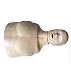 Adult CPR Training Torso Manikin for CPR Practice, Art. CPR167