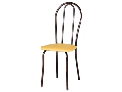 Standard Chair with Metal Frame