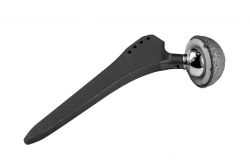 Cementless Hip Joint Endoprosthesis Replacement