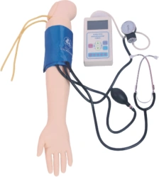 Blood Pressure Measurement Trainer S7G