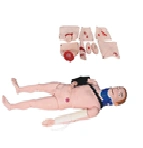 Adult Fracture Immobilization Manikin Model 245