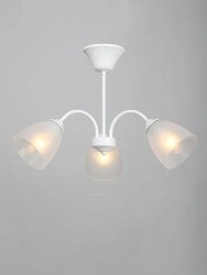 General Purpose Stationary Lamp for Incandescent Bulbs V3754/3PL