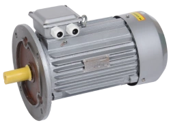 Asynchronous Three-Phase Electric Motor 11kW 132M2 380V