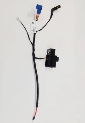 Automotive Wire Harness for GAZ Equipment - B4XSXE.3724 018