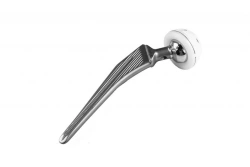 Cemented Hip Joint Endoprosthesis for Joint Replacement