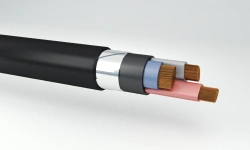 Power Cables with Plastic Insulation 0.66 kV VKaShvng(A)