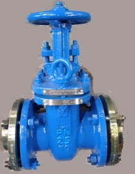 Steel Wedge Gate Valve with Rising Stem and Handwheel PN 2.5 MPa DN 80