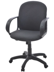 Practical Budget Conference Chair