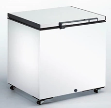 Derby Freezer Chest Model F38 for Efficient Cold Storage