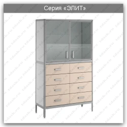 Elite Series Laboratory Cabinet: SHL.02.06