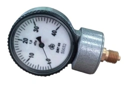 Pressure Gauge for Measuring Air and Non-Aggressive Gases DMG-60