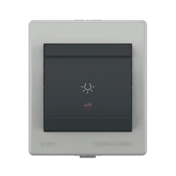 Caduceus Aling Power Single Switch with Indicator 10A, IP44