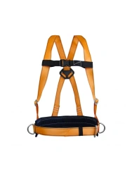 Fall Protection Harness UP-2D