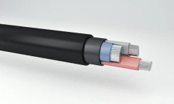 Power Cables with Aluminum Conductors and Plastic Insulation up to 1 kV - AVVGng(A)