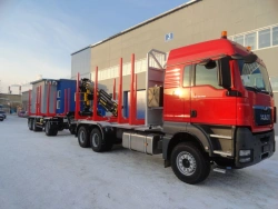 Timber Transport Truck with Crane Model 5908ZR