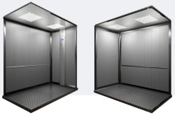 Electric Passenger Lift Queen, 1000 kg Capacity, 1 m/s Speed, No Machine Room