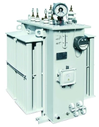 Oil-Filled Transformers for Submersible Pump Power Supply 63-630 kVA TMGP Series