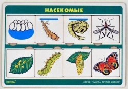 Transformation Wonders Game Series: Insects