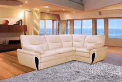 Comfortable Modern Sofa for Living Room